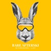 Bare Afterski (feat. Lazz) by DJ NorgeJodel iTunes Track 1