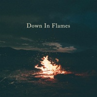 Down in Flames (feat. Maberry) - Single - Wander All Winter.