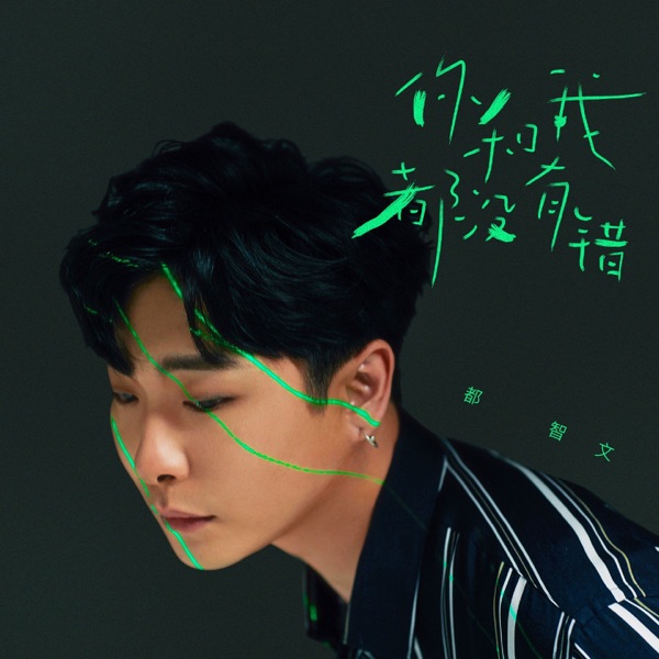 你和我都没有错 - Single