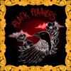 BLACK FEATHERS