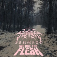 Zanmato - Single - Lil Summoner & We Are The Flesh