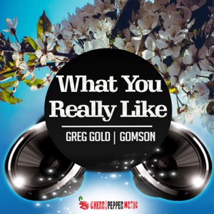 What You Really Like - Single