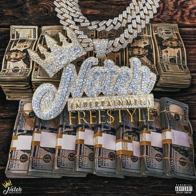 TNE Free$tyle (feat. Zay McGrady & Lil Maxxx) - Single