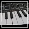 New Jazz City - jaystream lyrics