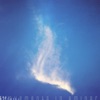 Movements in D Minor cover art