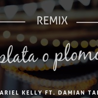 Plata O Plomo (feat. Ariel Kelly) [Remix] - Single - Damian tan