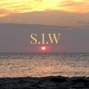 S.I.W - Single
