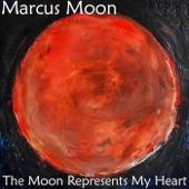 The Moon Represents My Heart artwork