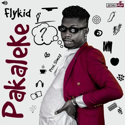 Pakaleke (feat. JASON) - Single