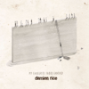 My Favourite Faded Fantasy - Damien Rice