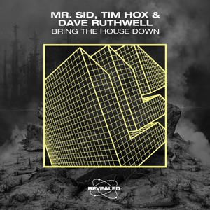 Bring the House Down - Single