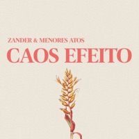 Caos Efeito - Single - Zander & menores atos