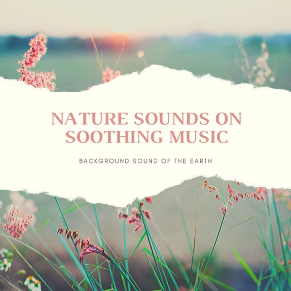 Nature Sounds on Soothing Music - Background Sound of the Earth & New Age