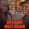 Until We Meet Again (feat. Renee Victoria) - Single