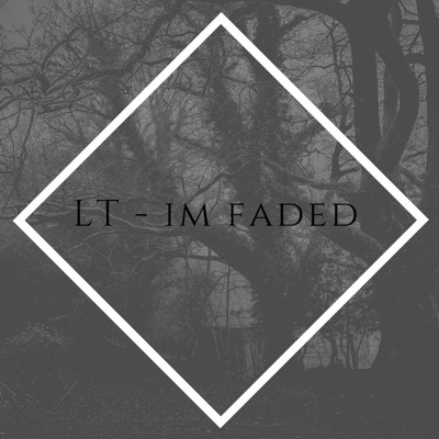 I'm Faded (feat. Snidee) - Single