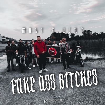 FAKE ASS BITCHES (feat. ACHT) - Single