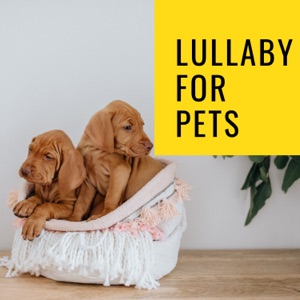 Lullaby For Pets