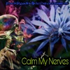 Calm My Nerves (feat. Dreamz, TetraHydroCoy & AzSavage) - Single