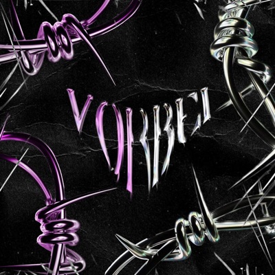 Vorbei (feat. Colm) - Single