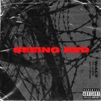 Seeing Red (feat. Dylan Noir & Nasty Noona) - Single - Walt!