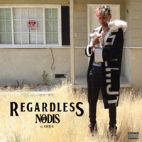 REGARDLESS (feat. Cotis) - Single - Nodis