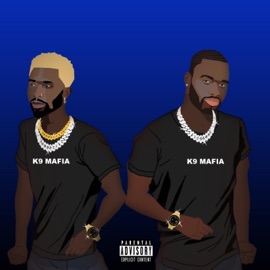 Drip Drip (feat. Darri Vinci & Khanai) K9 Mafia
