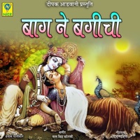 BAG NE BAGICHI - Single - Shyam Paliwal