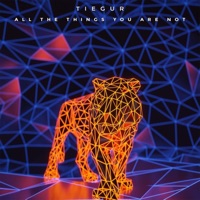 All the Things You Are Not - Single - Tiegur