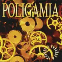 Confusión — Poligamia