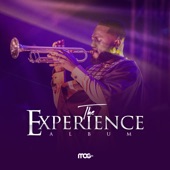 The Experience artwork