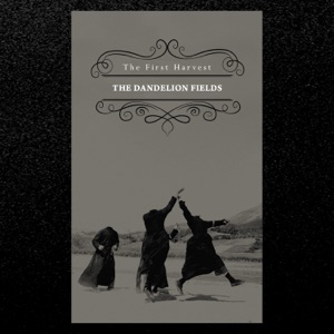 Invisible Cities