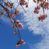 Get U - Single - divvy!