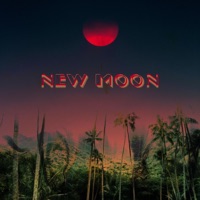 New Moon - Single - Lemon City Trio