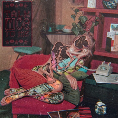 Talk Nice to Me - Single