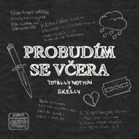 Probudím se včera (feat. Skelly) - Single - Totally Nothin