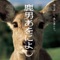 1800 Nen no Koi - Toshihiko Sahashi lyrics