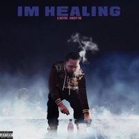 I'm Healing - Single - Exotic Skottie