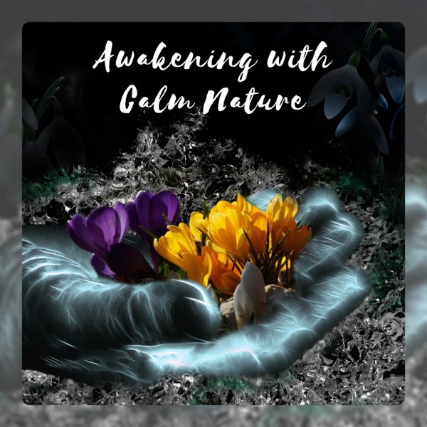 Awakening with Calm Nature: Soothing Alarm Clock Sounds, Relaxation at Morning, Boost Your Day