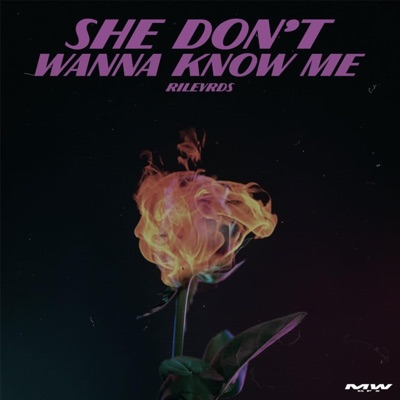 She Don't Wanna Know Me - Single