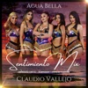 Claudio Vallejo Sentimiento Mix Como Pequeña Florecita / Incomprensión / Tendrás Que Recordarme - Single