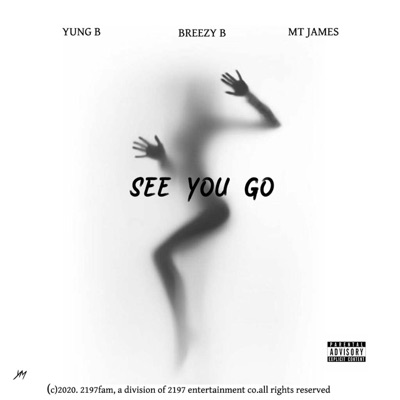 See You Go (feat. Breezyb & Mt James) - Single