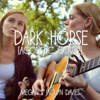 Dark Horse (Acoustic Cover) feat. Jaclyn Davies - Single - Megan Davies