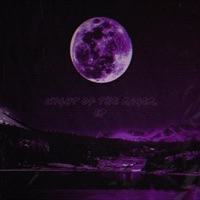 Night of the Rager EP - Slypex