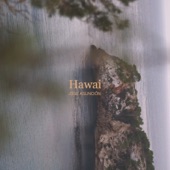 Hawái artwork
