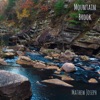 Mountain Brook - Single