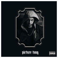 Picture Tony - Single - Tony Cota
