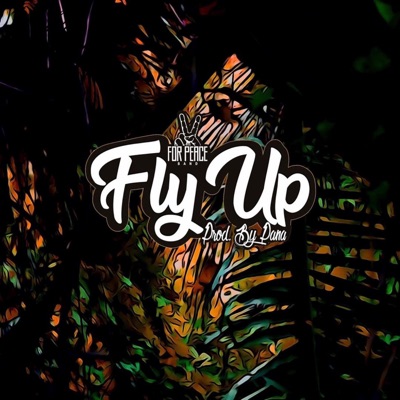 Fly Up - Single