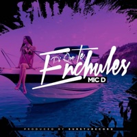 Pa Que Te Enchules - Single - Mic Delincuente