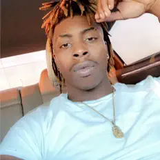 Ouve Willow, vê vídeos de música, lê a biografia, vê as datas da digressão e muito mais!