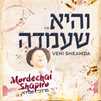 Mordechai Shapiro - Vehi Sheamda